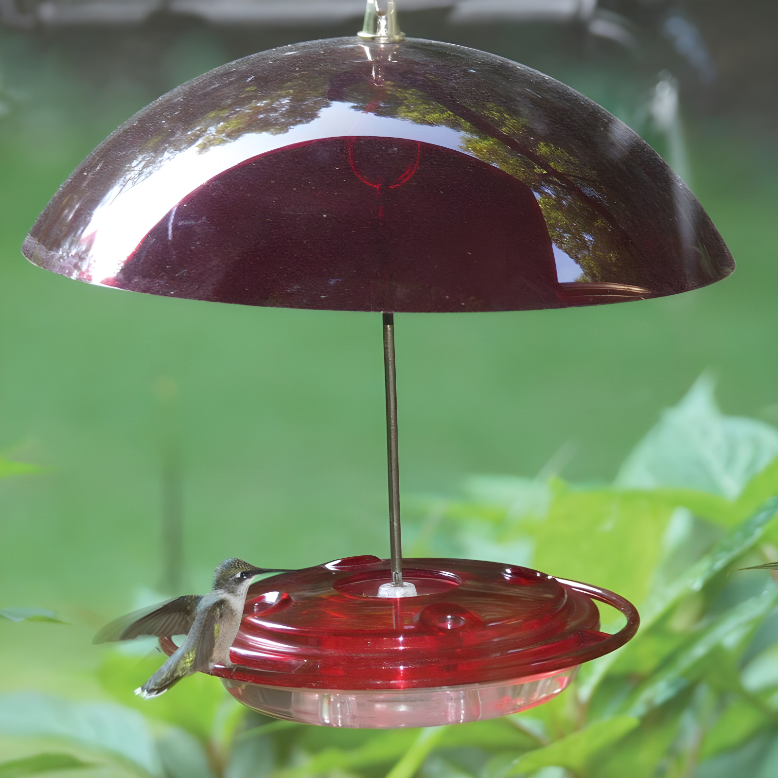 Red Polycarbonate Hanging Hummingbird Feeder with Ant Moat, 8 oz.