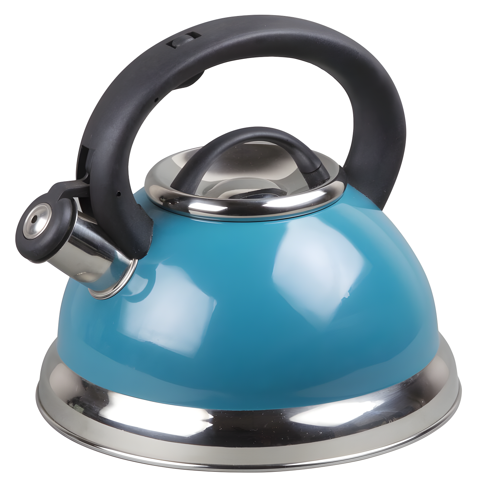 Aqua Stainless Steel Whistling Tea Kettle with Heat Resistant Handle