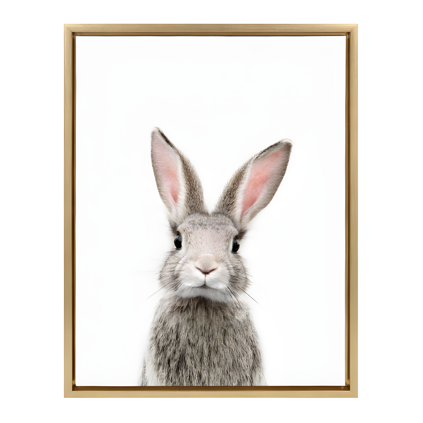 Gold Framed Baby Rabbit Canvas Print for Nursery