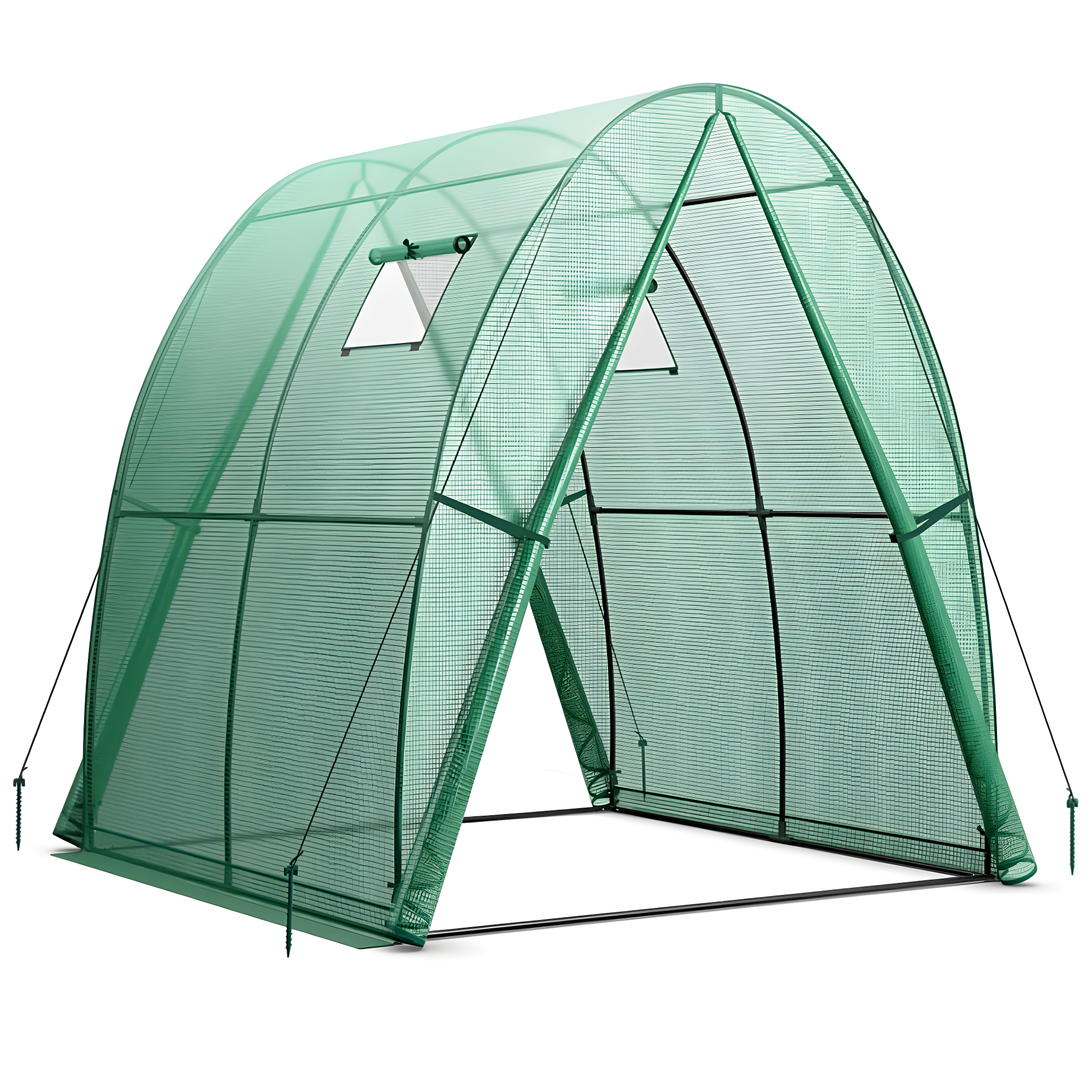 6 x 6 x 6.6 FT Green PE and Metal Walk-In Tunnel Greenhouse