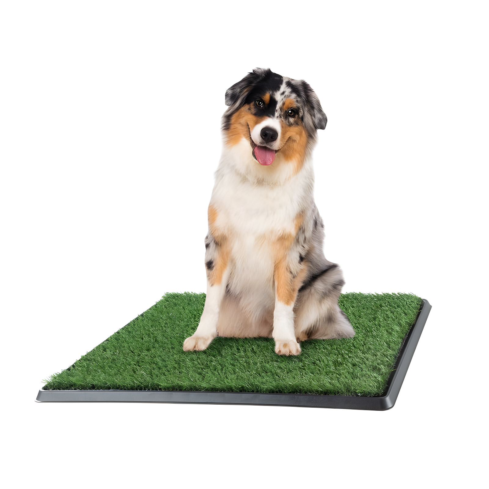 Pet Adobe Medium Artificial Grass Potty Trainer Mat with Tray