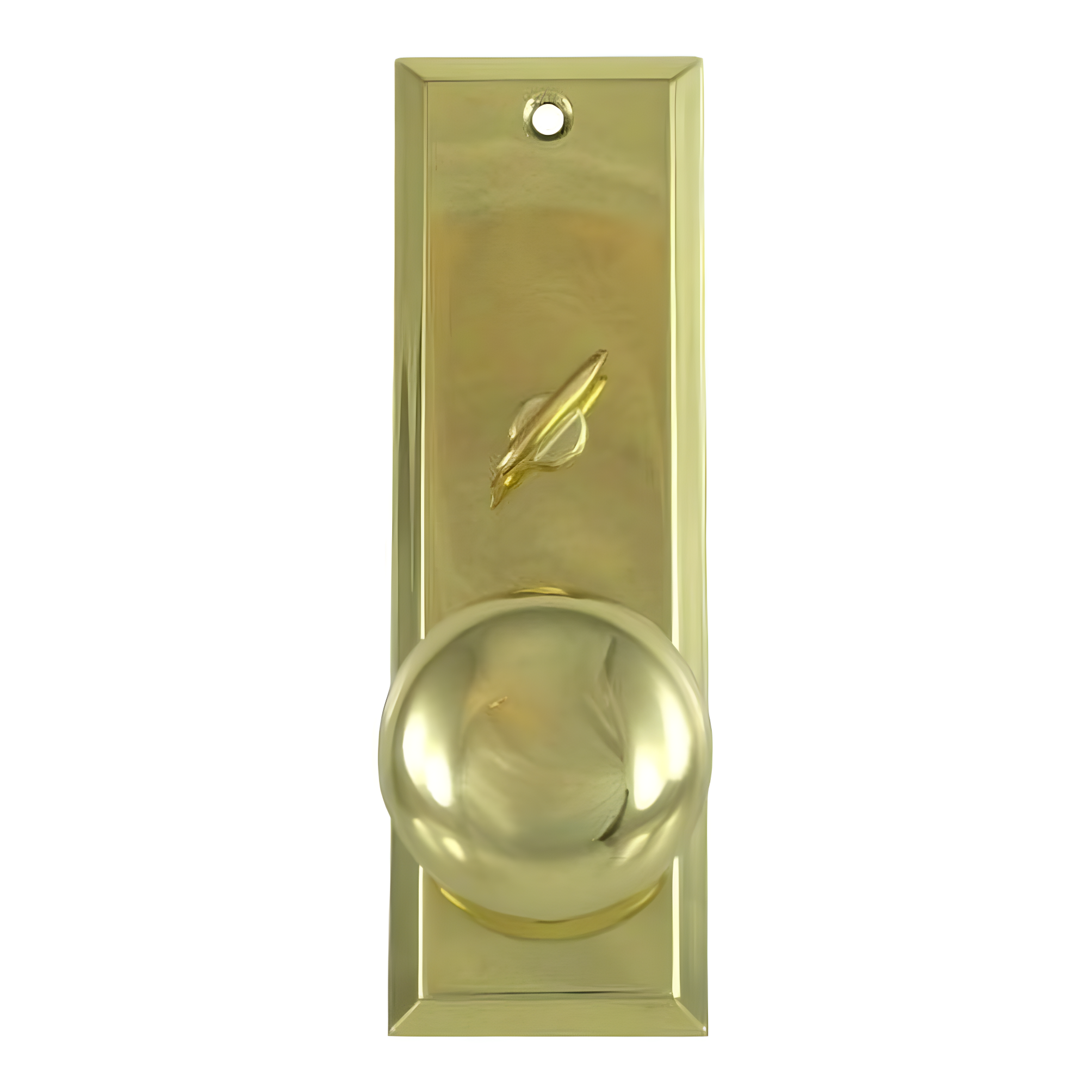 Polished Brass Mortise Lock Escutcheon Plate with Knob and Turner