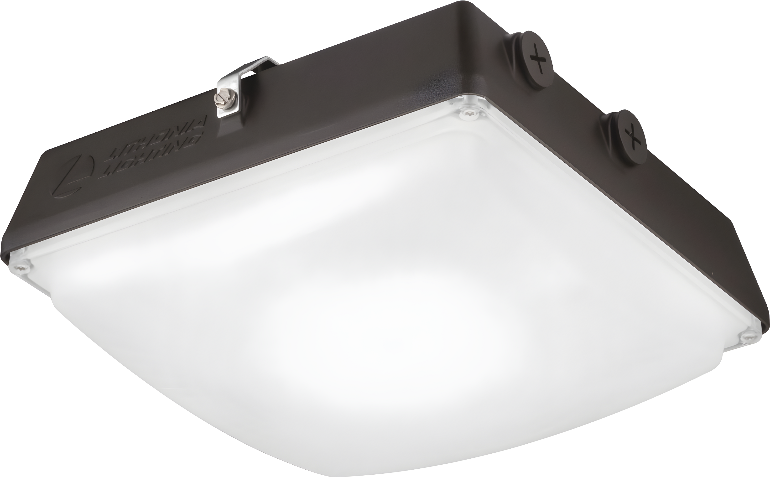 Sleek Aluminum 10" Outdoor LED Flush Mount Light, Energy-Efficient