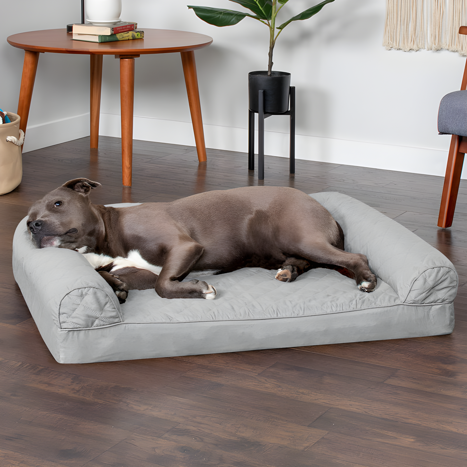 Large Silver Gray Orthopedic Foam Dog Sofa Bed