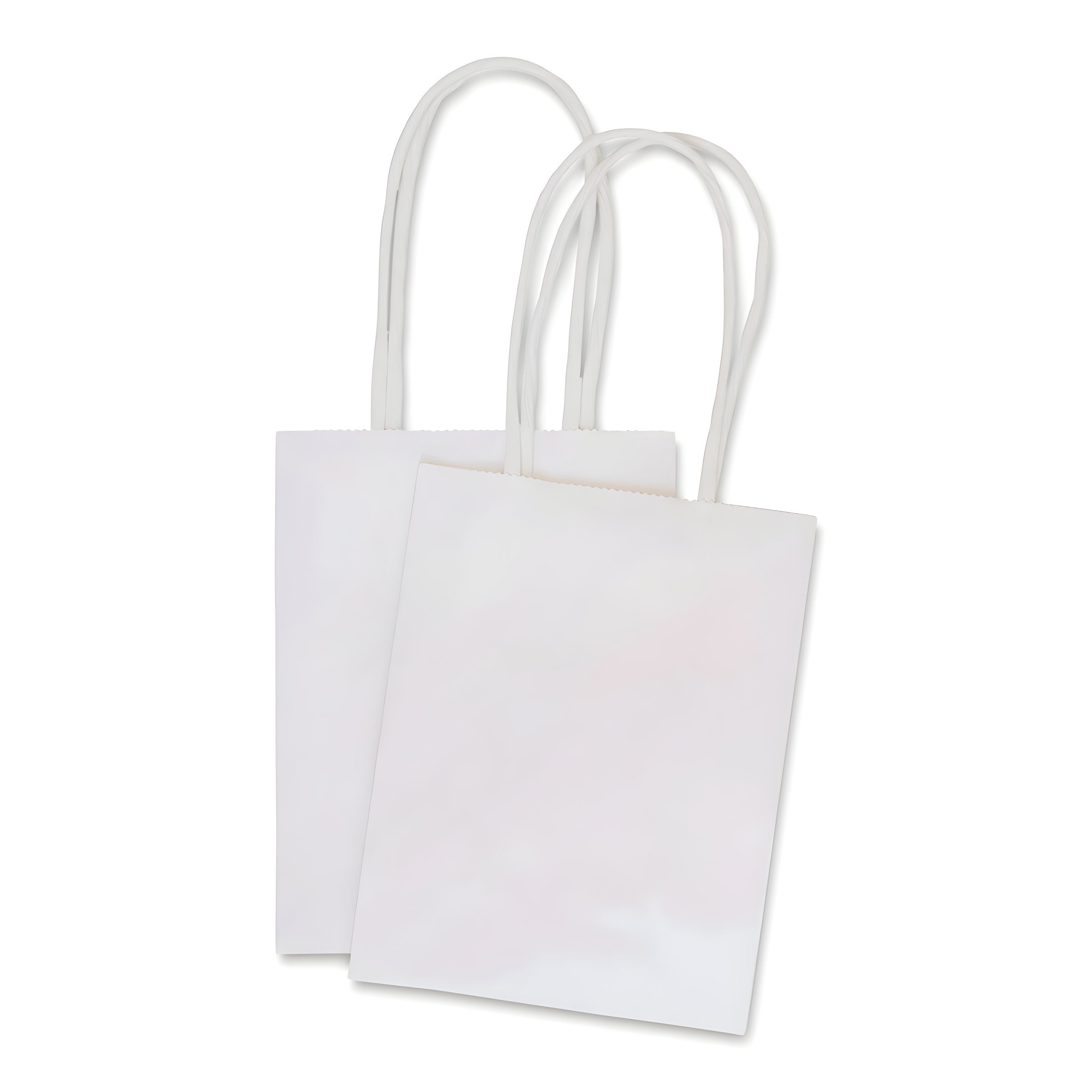 White Mini Paper Gift Bags with Twine Handles, Set of 5