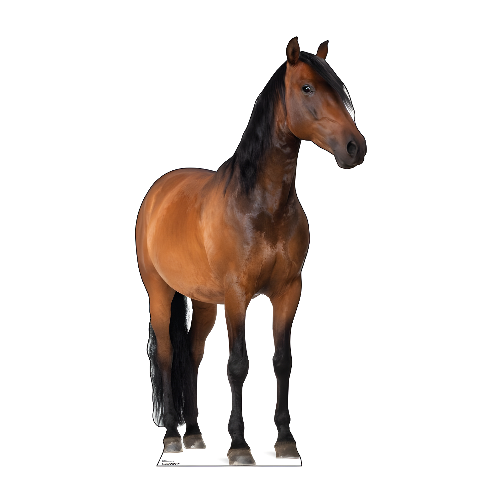 Life-Size Brown Horse Cardboard Standup with Easel