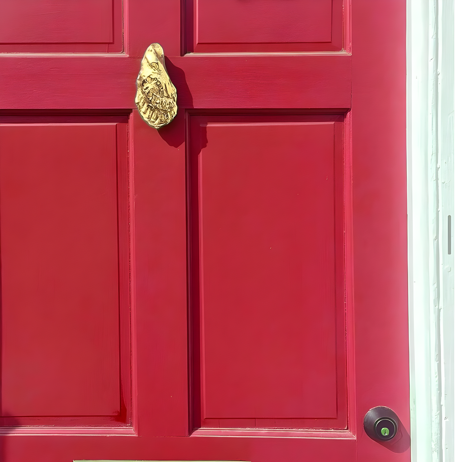 Michael Healy 6-in Polished Brass Oyster Door Knocker