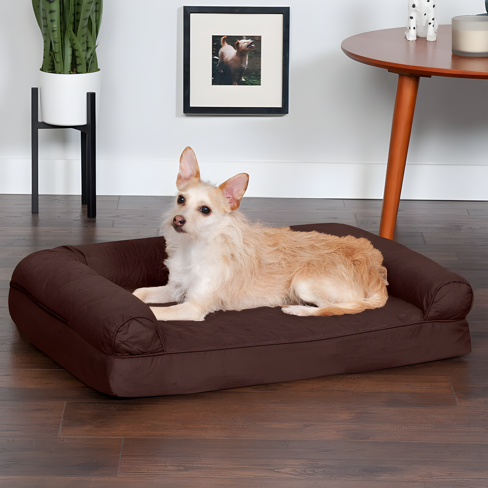 Medium Coffee Orthopedic Foam Bolster Sofa Pet Bed