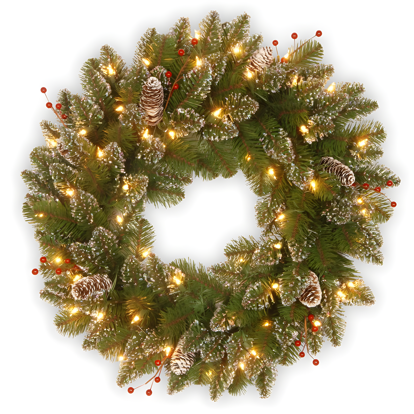 24" Glittery Mountain Spruce Christmas Wreath with LED Lights