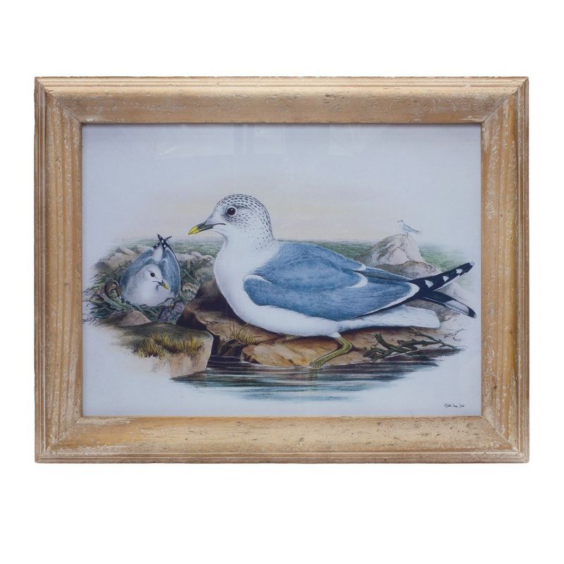 Rustic Wooden Framed Sea Bird Watercolor Print Under Glass