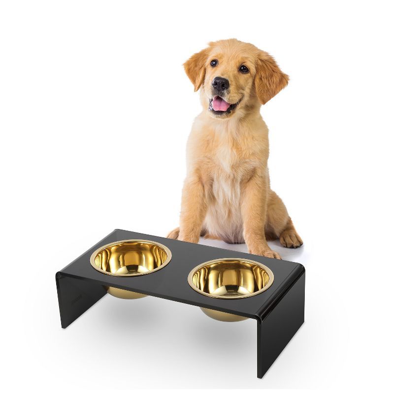 Keaton Black and Gold Modern Elevated Pet Feeder with Stainless Steel Bowls