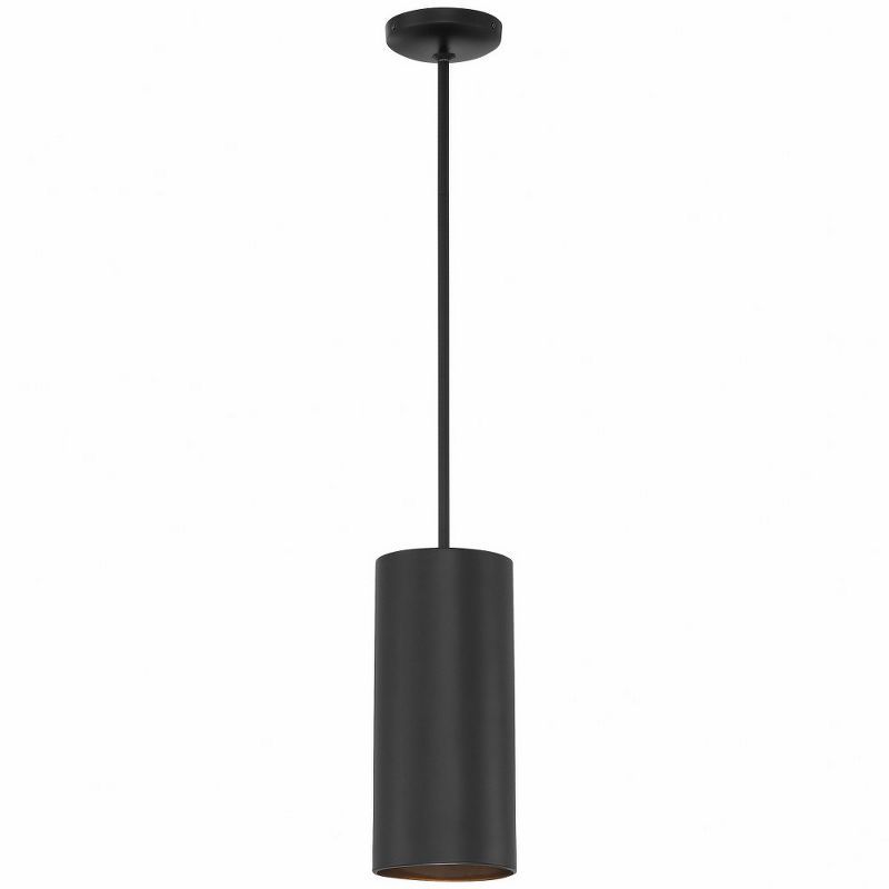 Matte Black Modern Drum Pendant Light for Indoor/Outdoor