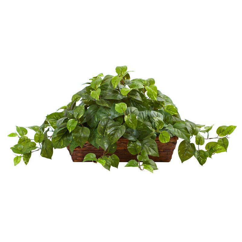 Lush Green Pothos 20.5" Tabletop Arrangement in Brown Basket