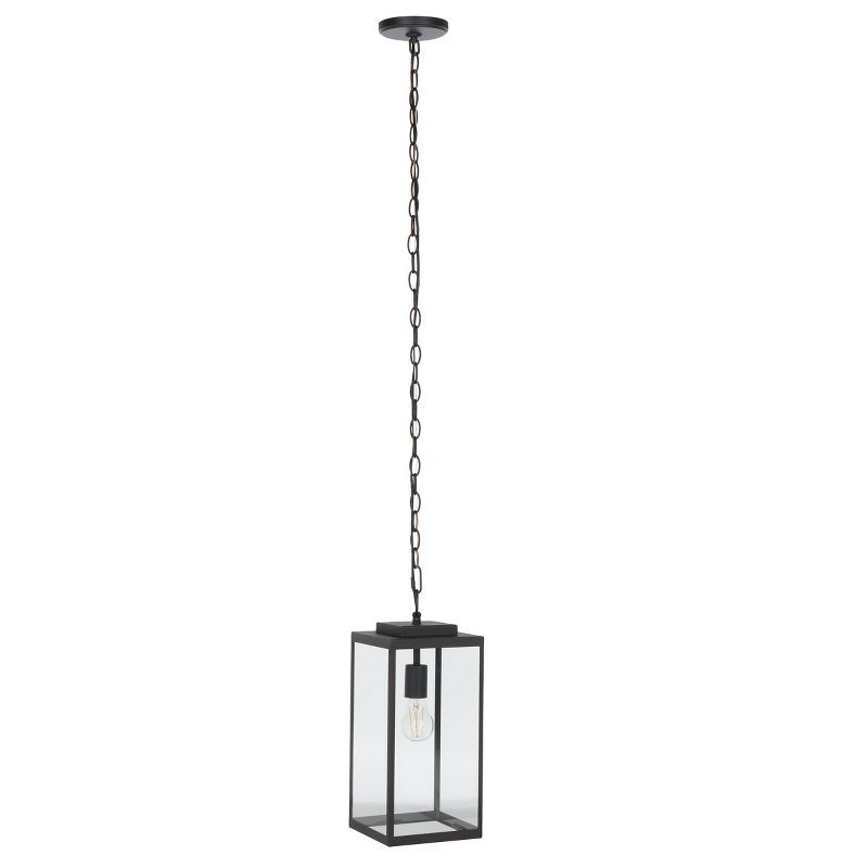 Rinnah Black and Glass Outdoor Pendant Light