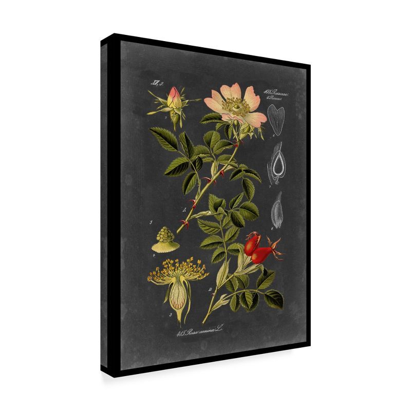 Midnight Botanical I Pink Floral Canvas Wall Art with Black Frame