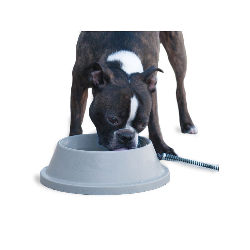 Gray Heated Pet Water Bowl with Steel-Wrapped Cord