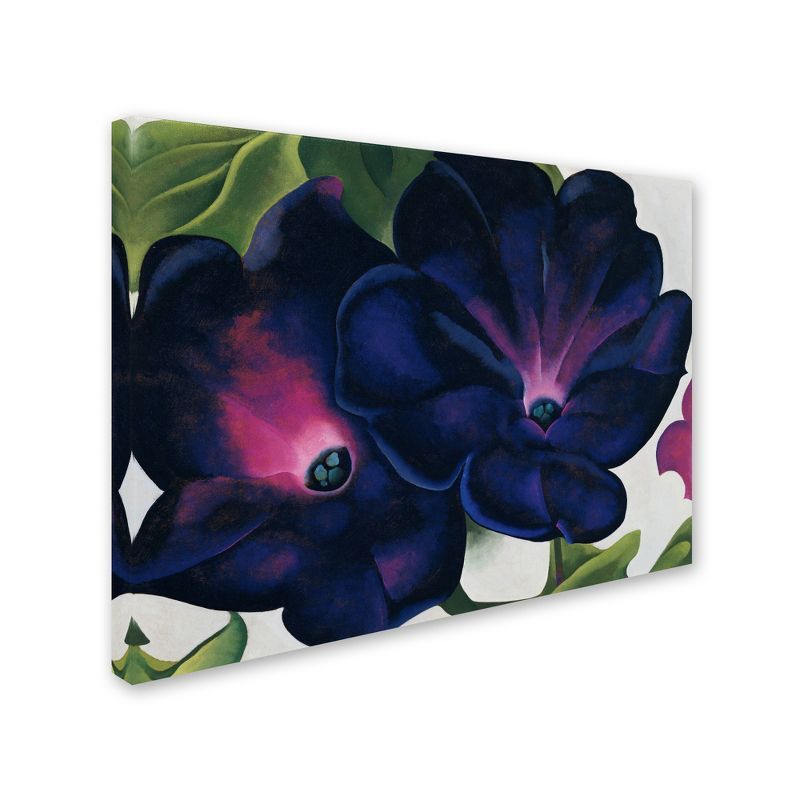 Georgia O'Keefe Black and Purple Petunias Canvas Wall Art