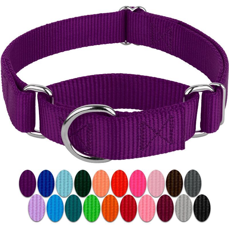 Large Personalized Purple Nylon Martingale Dog Collar