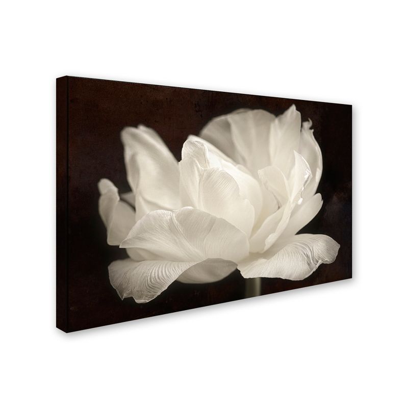 White Tulip III Black and White Canvas Wall Art