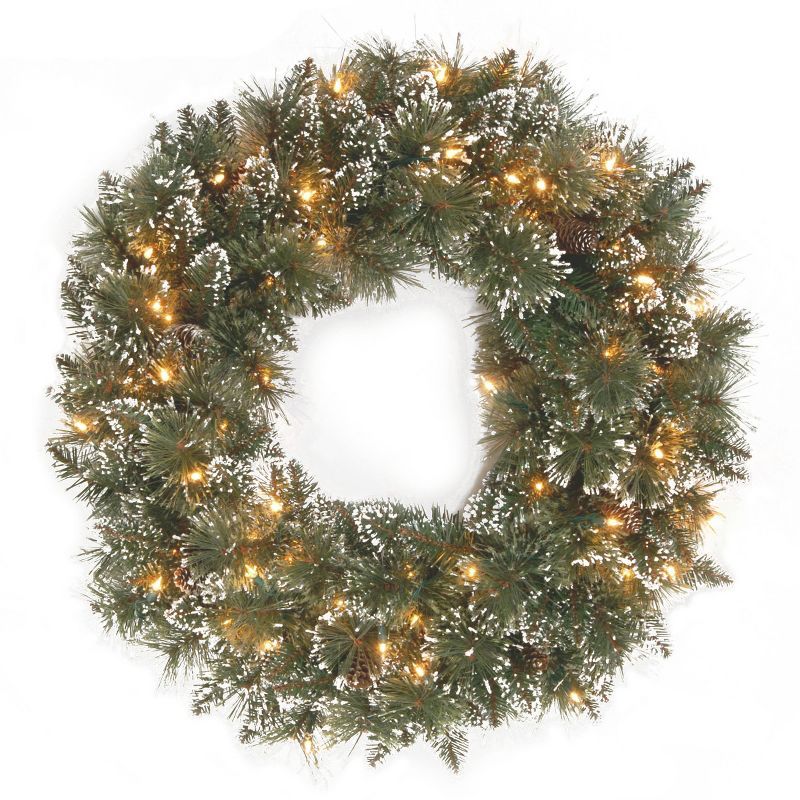 24" Prelit Glittery Bristle Pine Christmas Wreath with Clear Lights