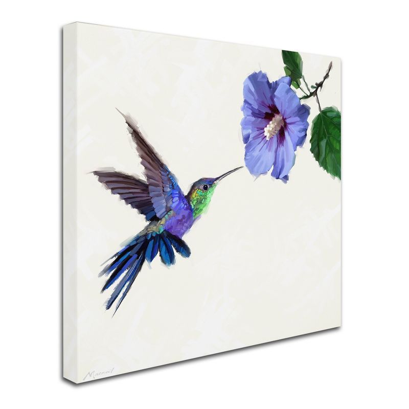 Humming Bird Jewel-Toned Canvas Art, 35" x 35"