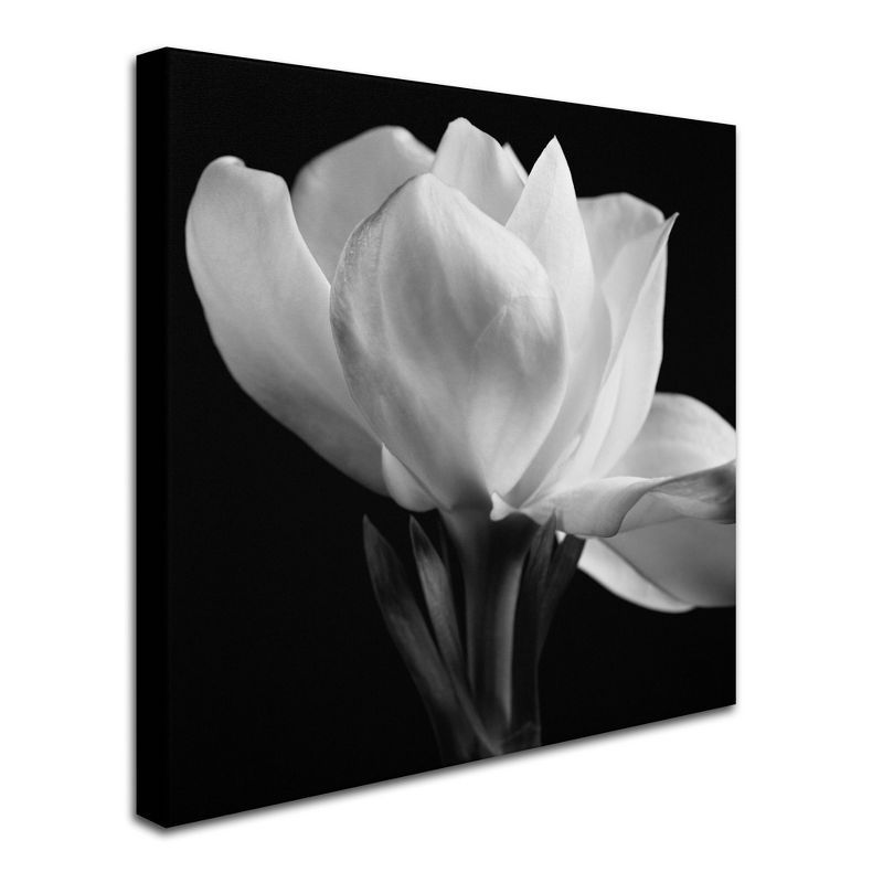 14'' x 14'' Black and White Floral Canvas Art