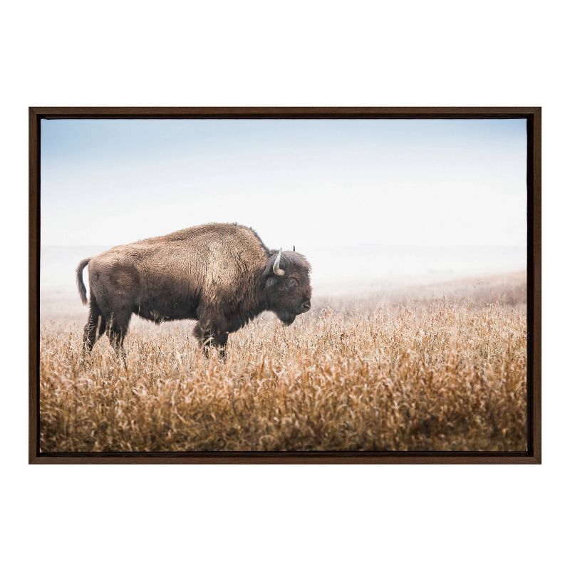 American Bison Buffalo in Prairie Grass Framed Canvas Wall Art