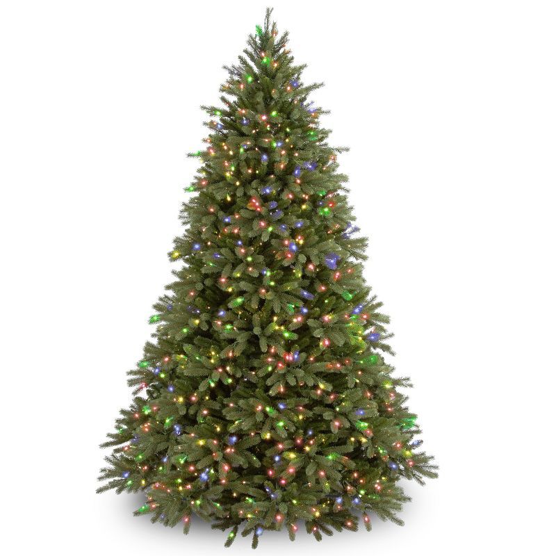 6.5' Green Prelit Jersey Fraser Fir Christmas Tree with Multicolor Lights