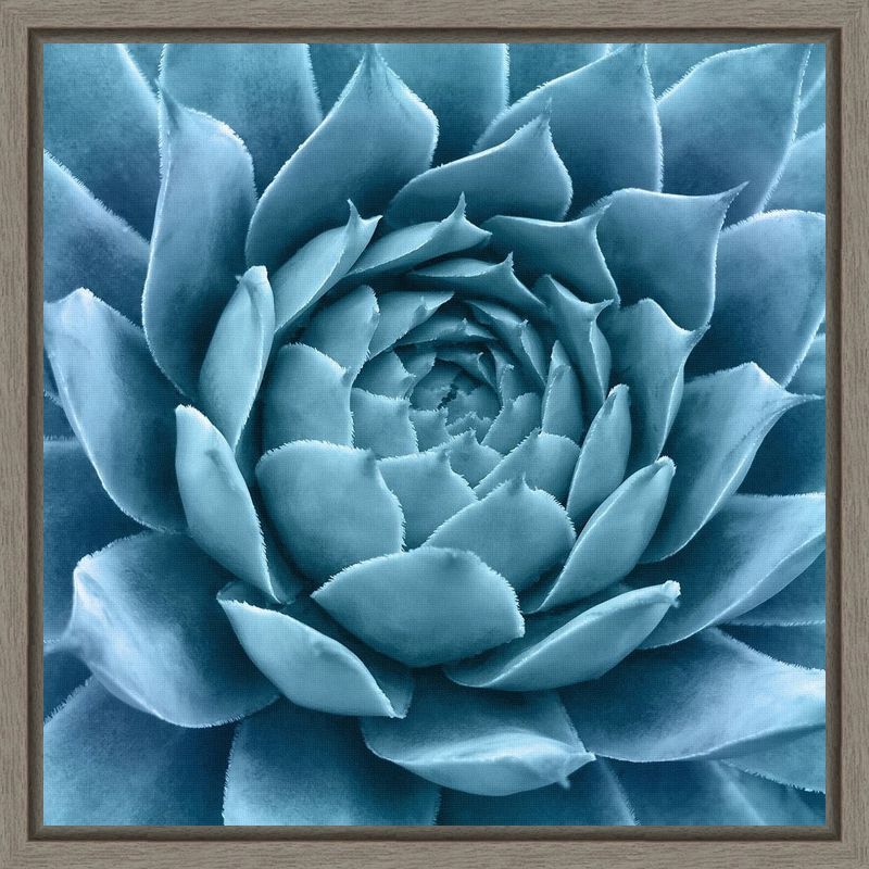 Silvery Blue Agave Framed Canvas Wall Art 16 x 16-in