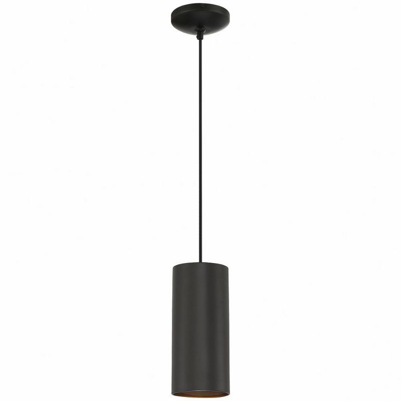 Matte Black Steel Indoor/Outdoor Drum Pendant Light