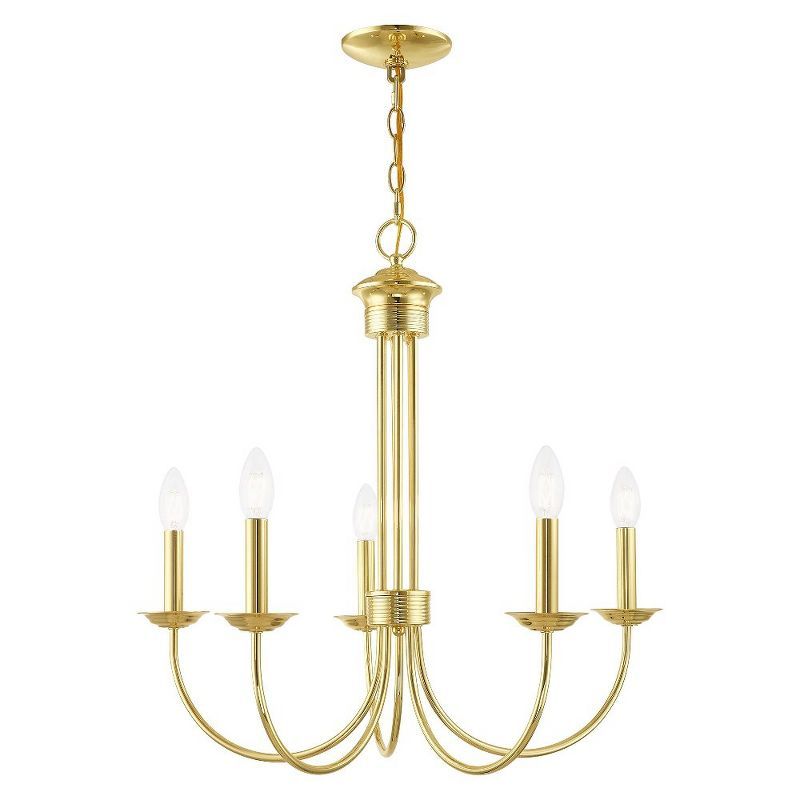 Elegant Polished Brass 5-Light Traditional Chandelier