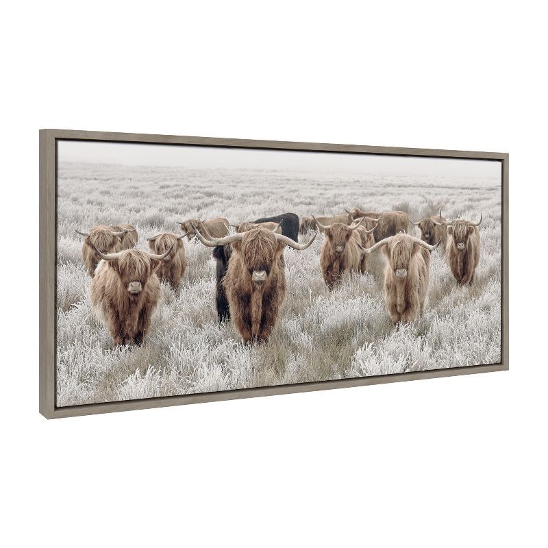 Herd of Highland Cows Gray Canvas Print with Polystyrene Frame