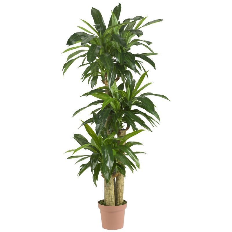 Tall Green Silk Corn Stalk Dracaena Plant with Lights