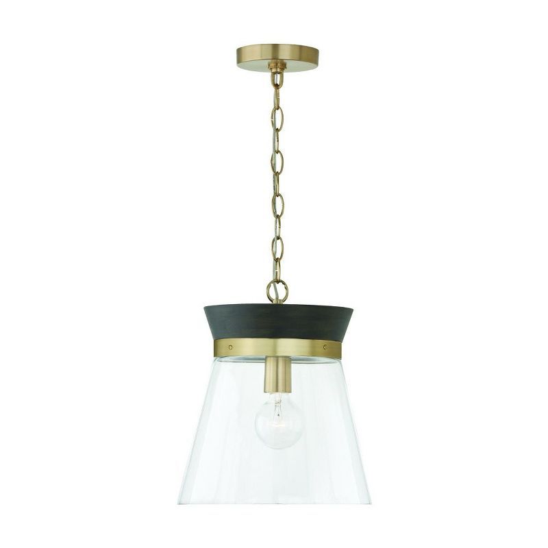 Finn Black Stain and Matte Brass Pendant Light with Clear Glass Shade