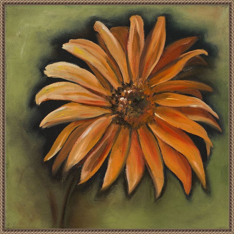 Daisy Collections III Bronze Framed Canvas Wall Art