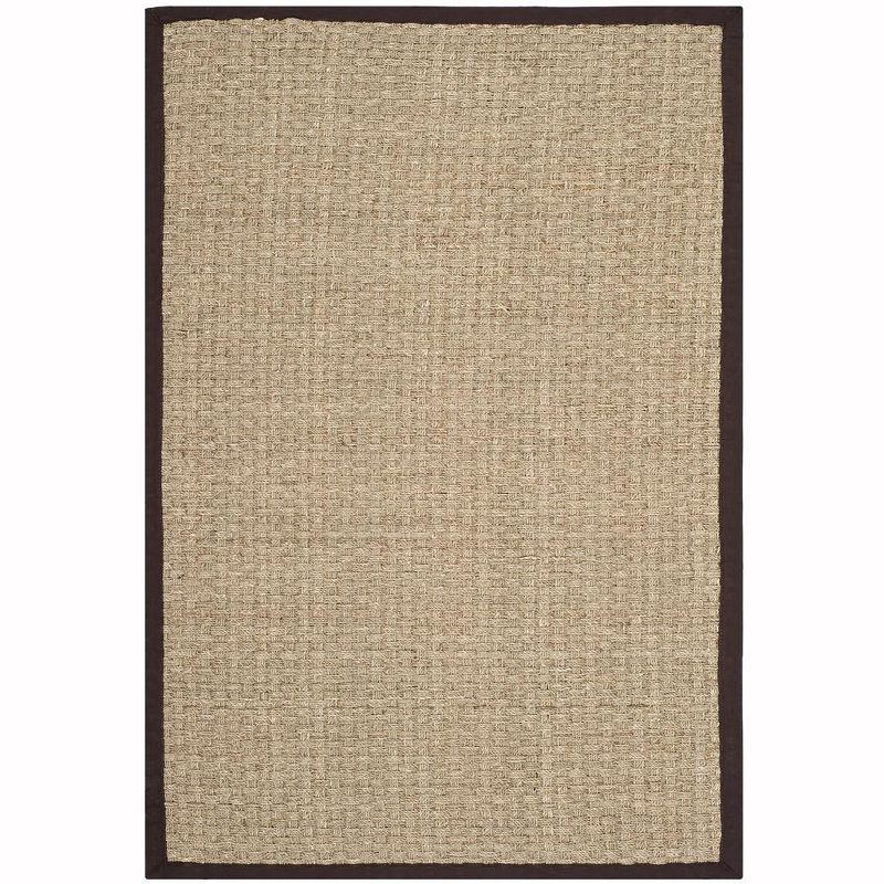 Coastal Charm Handwoven Cotton & Seagrass 4' x 6' Rug in Natural/Dark Brown