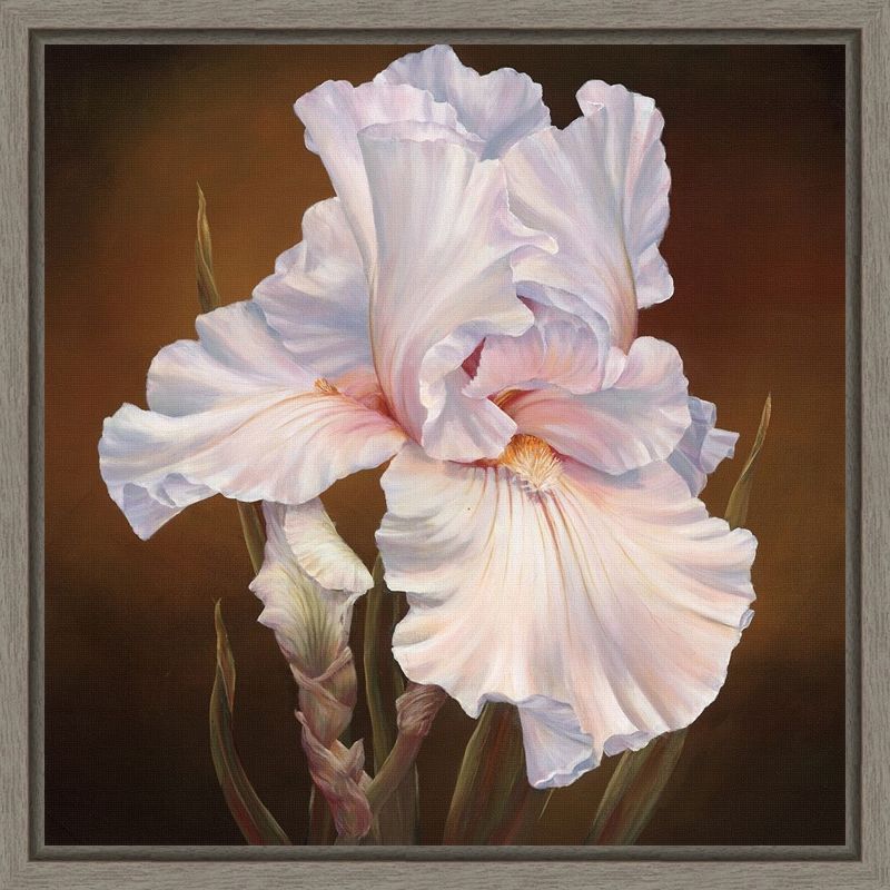 White Iris II Framed Canvas Wall Art Print 16 x 16