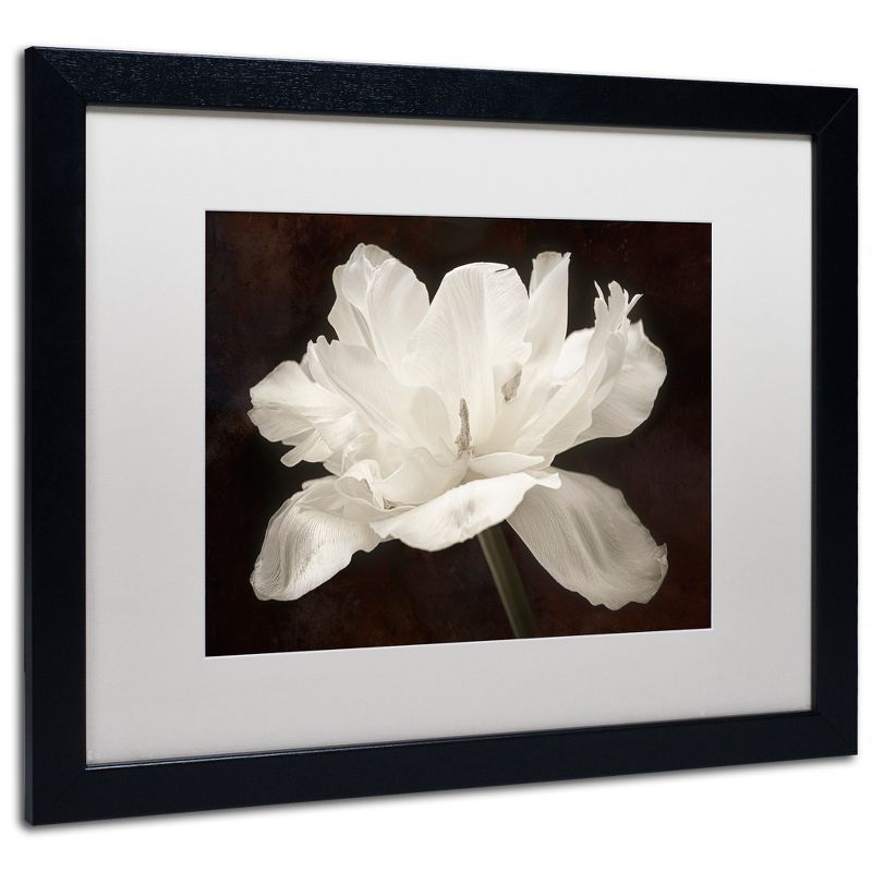 White Tulip I Framed Canvas Art with Black Frame