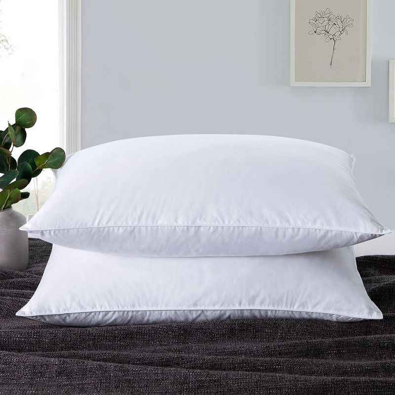 Standard White Feather and Polyester Bed Pillow Set