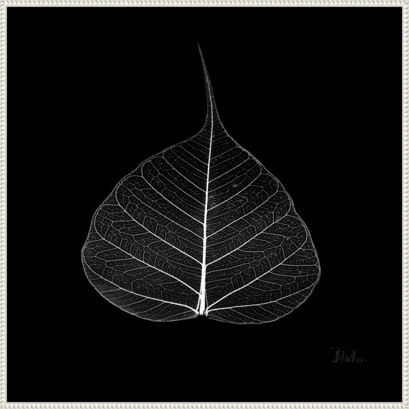 Minimalist Black and White Leaf Canvas with Beaded Frame