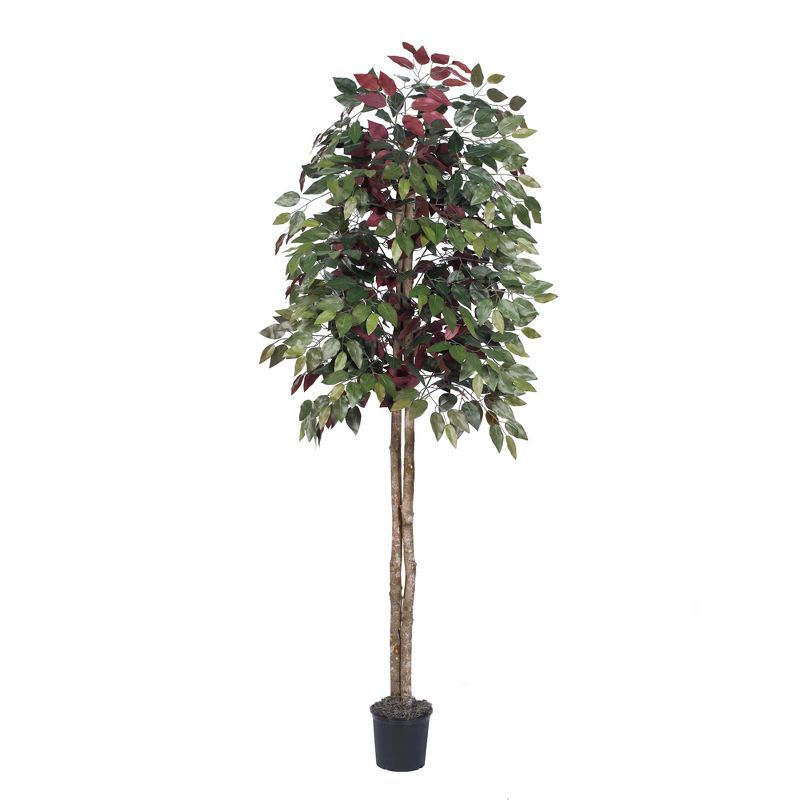 Elegant 6' Capensia Silk Foliage Tree in Black Plastic Pot