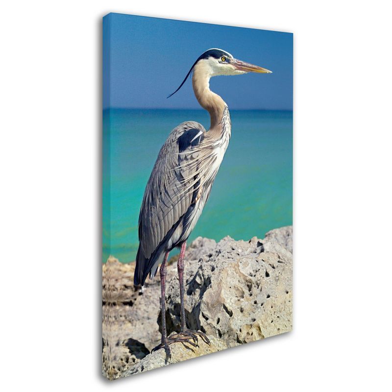 Blue Heron Portrait Canvas Wall Art with Floater Frame