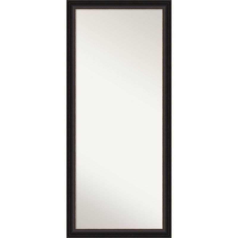 Elegant Full-Length 72'' Bronze Framed Rectangular Leaner Mirror