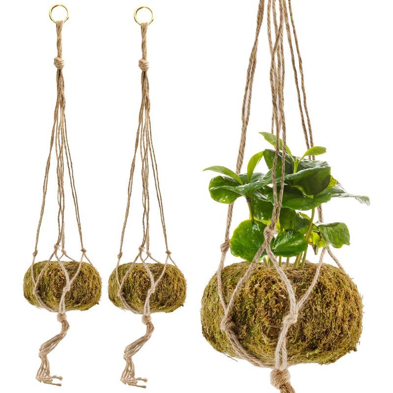 Set of 3 Green Moss Ball Hanging Planters with Jute Twine