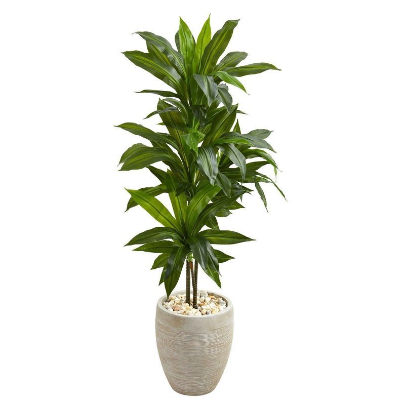 Luxe 62" Silk Dracaena Succulent Arrangement in Sand Planter