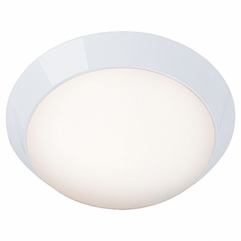 White Glass 11-inch Indoor/Outdoor Flush Mount Light