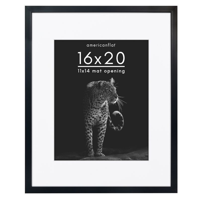 16" x 20" Black Gallery-Style Picture Frame with Mat