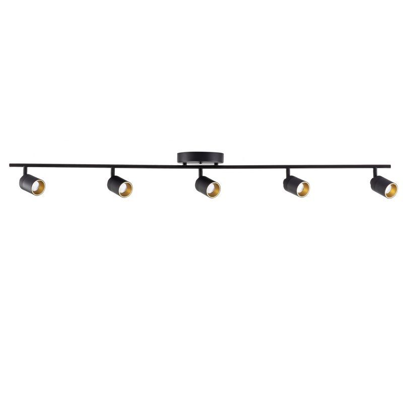 Shura Black and Gold 5-Head LED Track Light