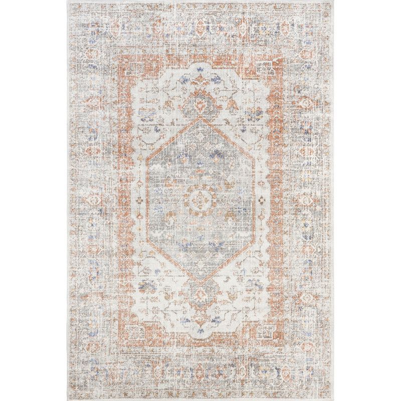 Elegant Vintage Floral Gray 9' x 12' Synthetic Area Rug