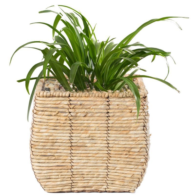Rustic Woven Square Medium Planter with Leak-Proof Lining